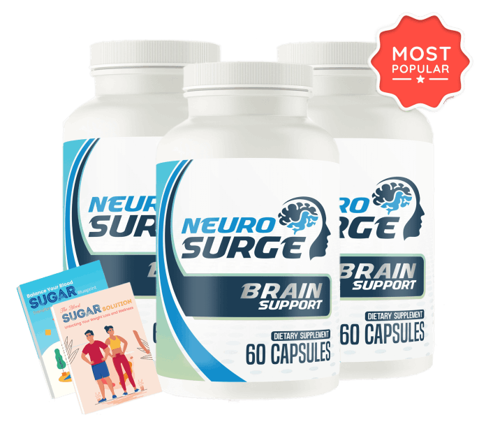 Neuro Serge brain support supplement 3 bottle package
